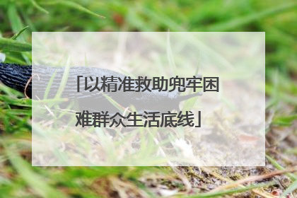 以精准救助兜牢困难群众生活底线